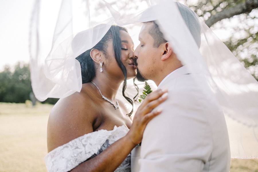 Under-veil kiss in a golden field