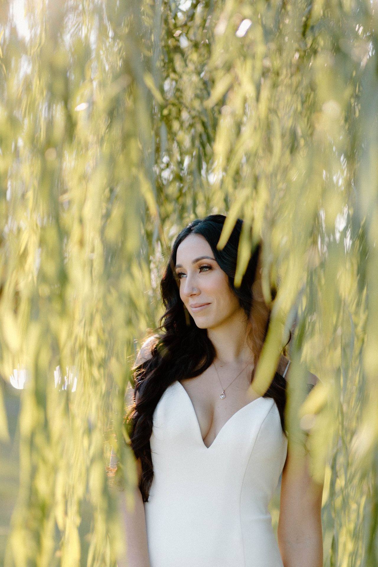 Bride beneath the willow