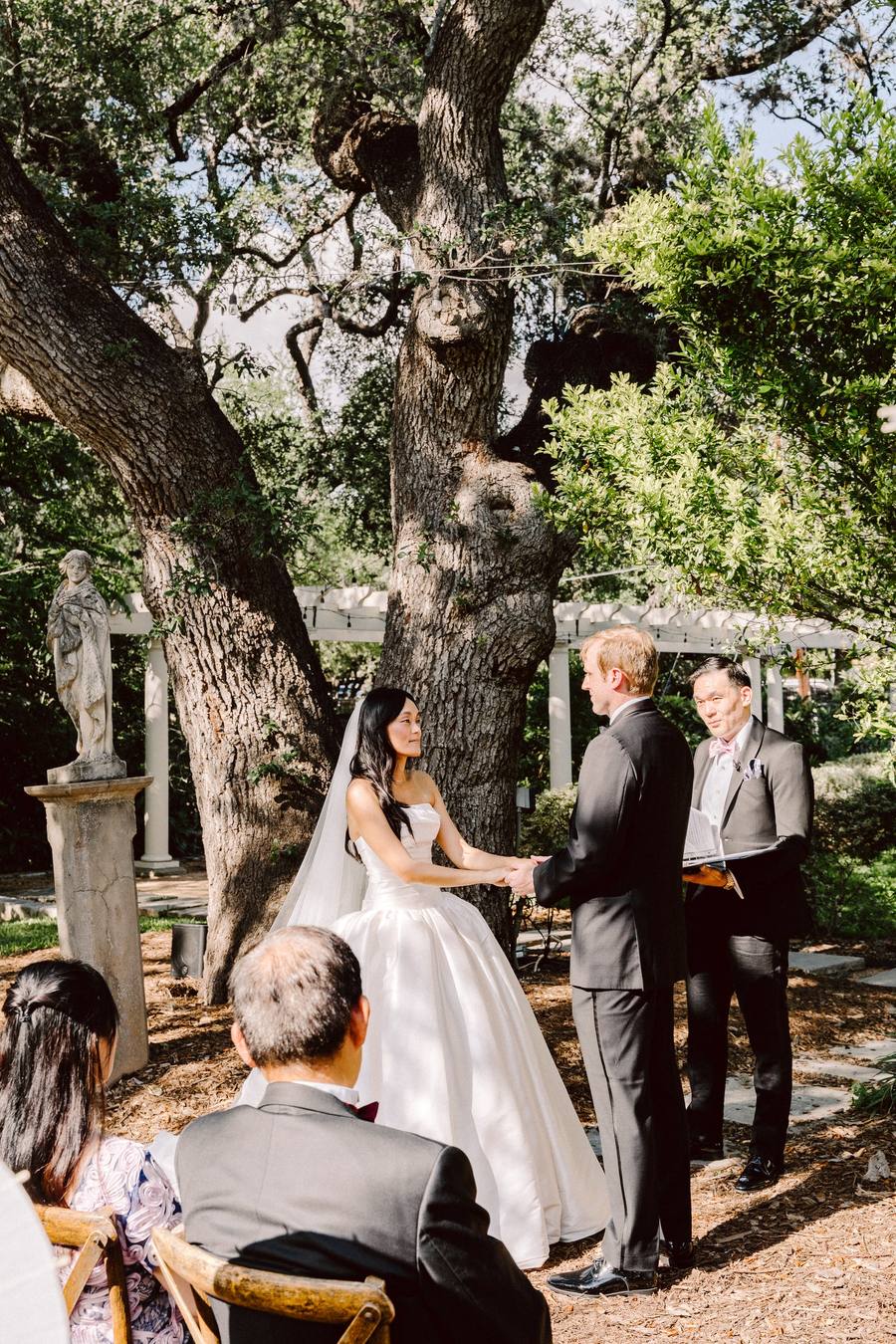 Bride and groom on a low oak bough