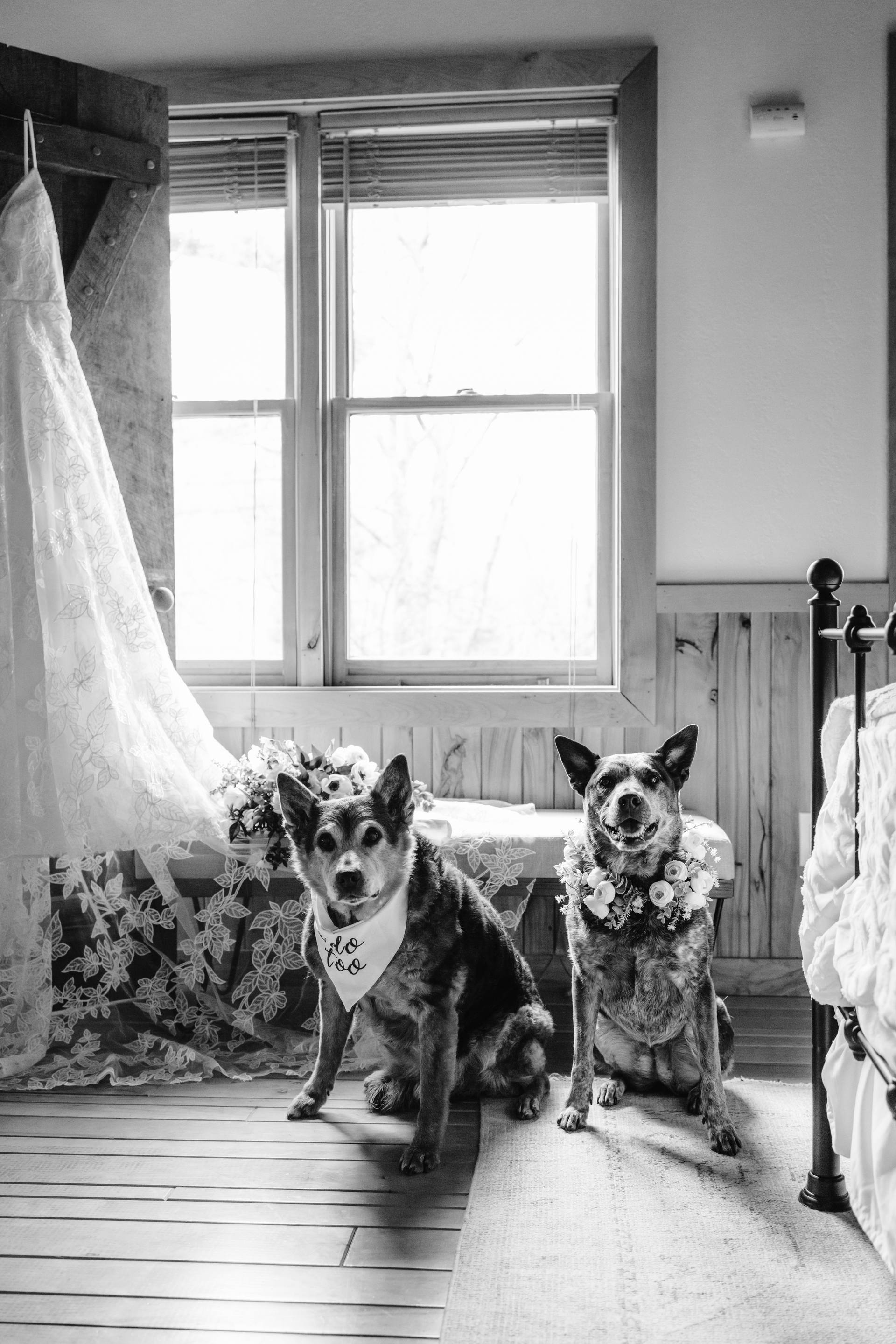 Amy H. portfolio photo 53
